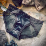 Sexy French Lace Underwear Women's Transparent