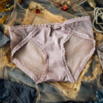 Sexy French Lace Underwear Women's Transparent