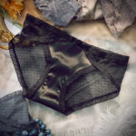 Sexy French Lace Underwear Women's Transparent