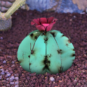 DIY Metal Art Deco Metal Cactus Sculpture