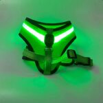 Pet Supplies LED Luminous Dog Chest Strap Rechargeable Mesh Luminous Harness Pet Products